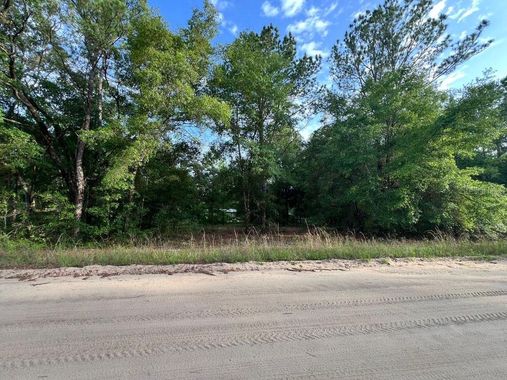Decker Street Lot 12 13 Property Photo 5