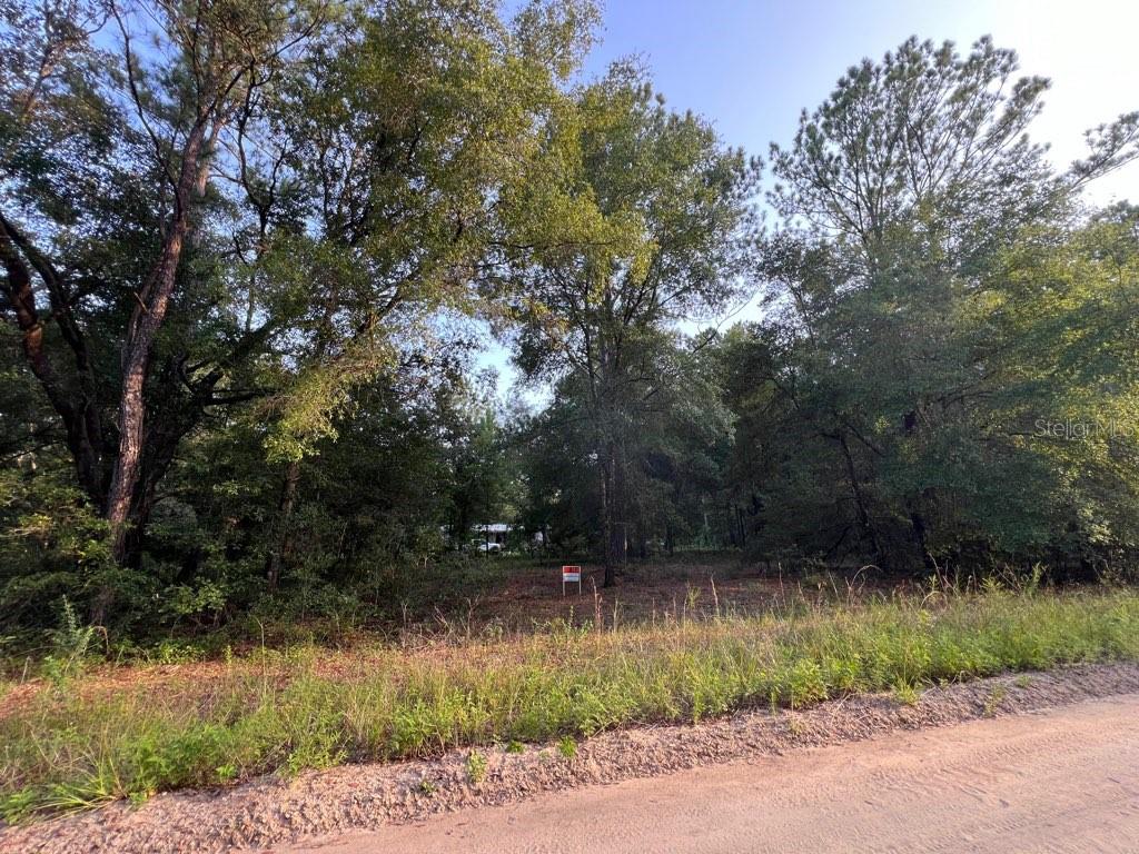 Decker Street Lot 12 13 Property Photo 6