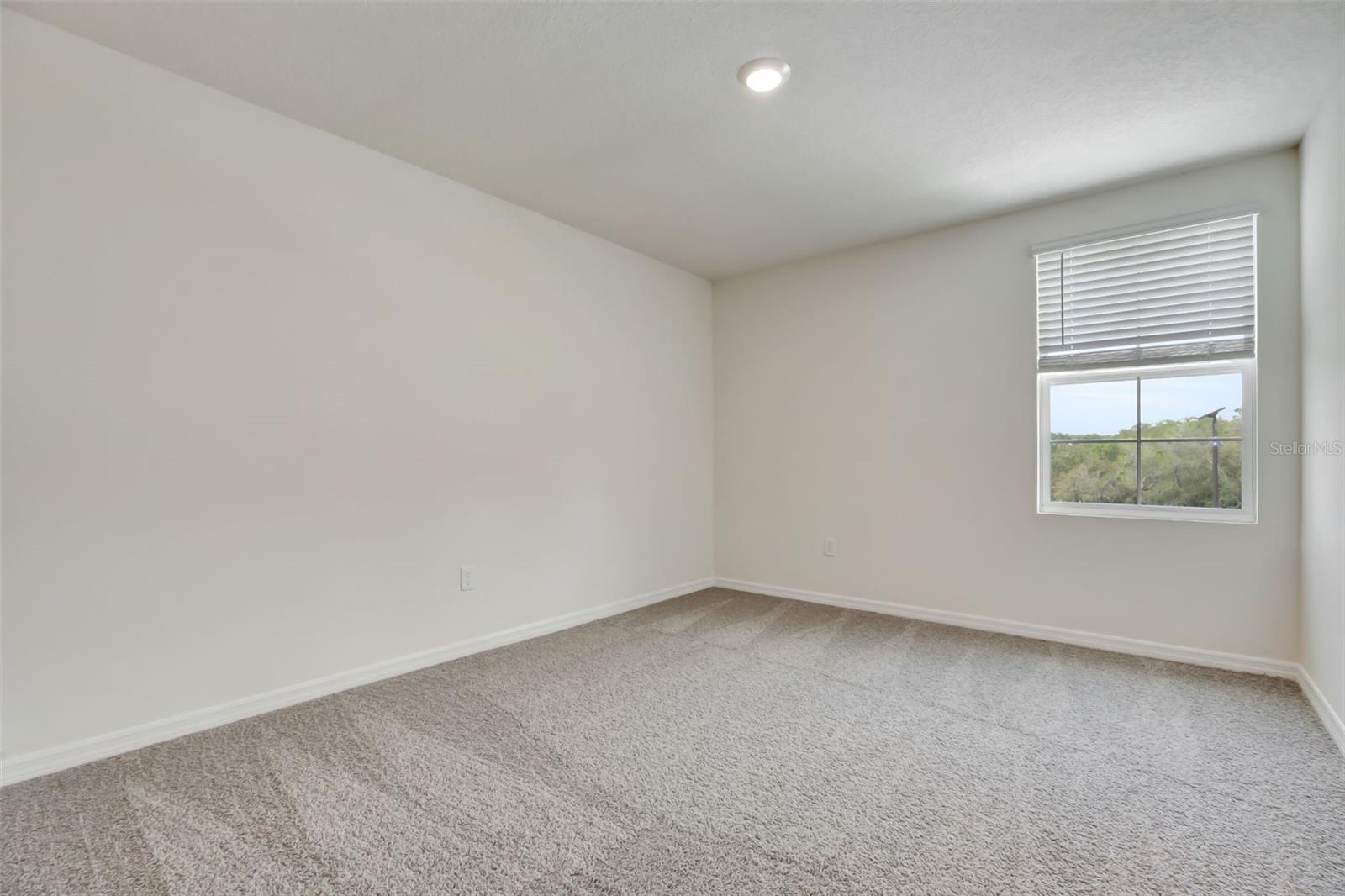 3610 Pfeiffer Falls Pl Property Photo 25