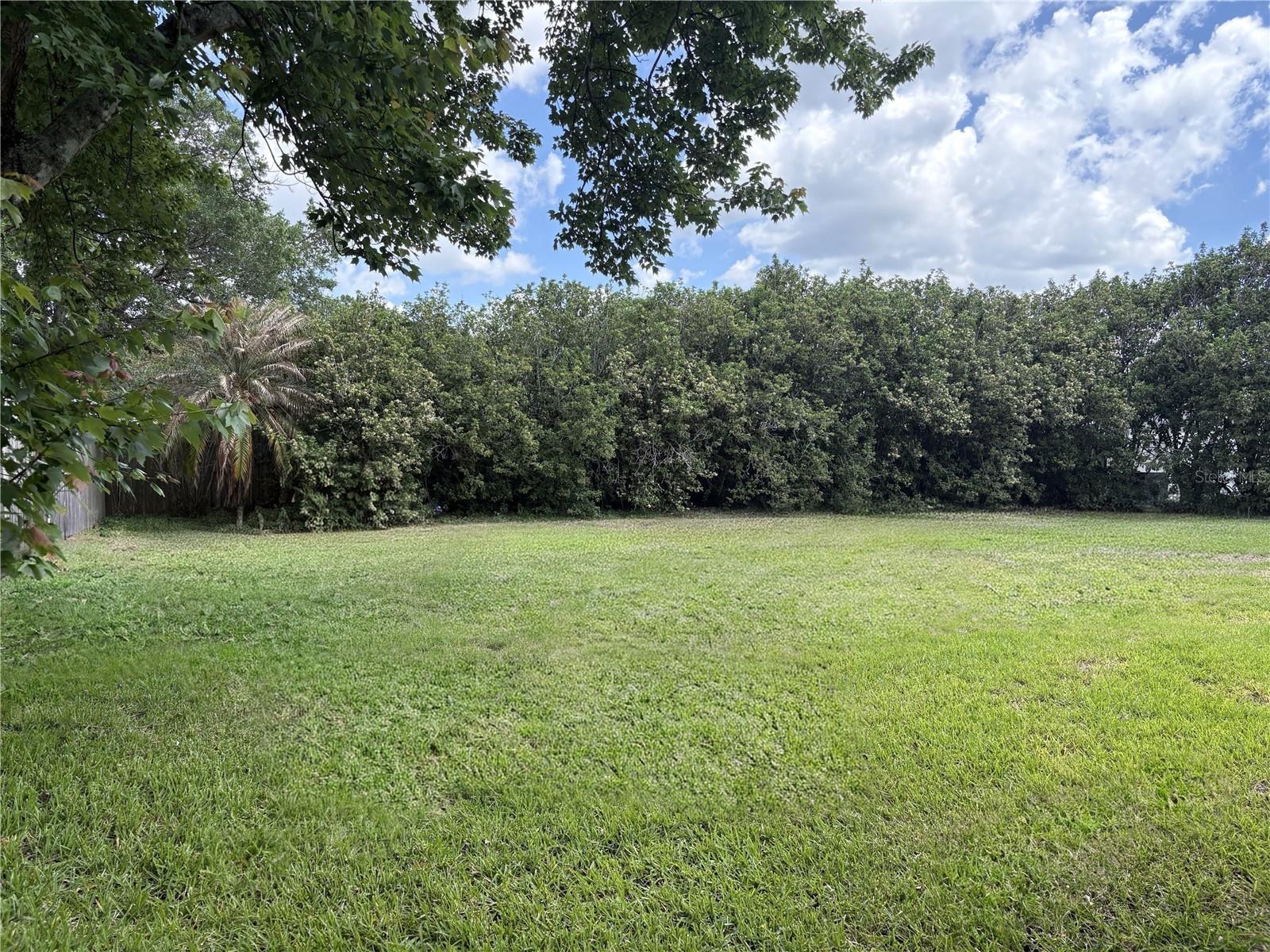 20235 Majestic St Property Photo 7
