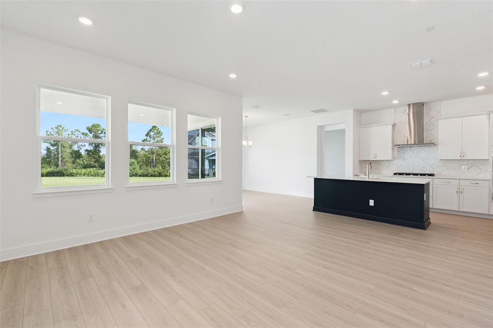 17412 Honeybell Tangelo Ct Property Photo 4