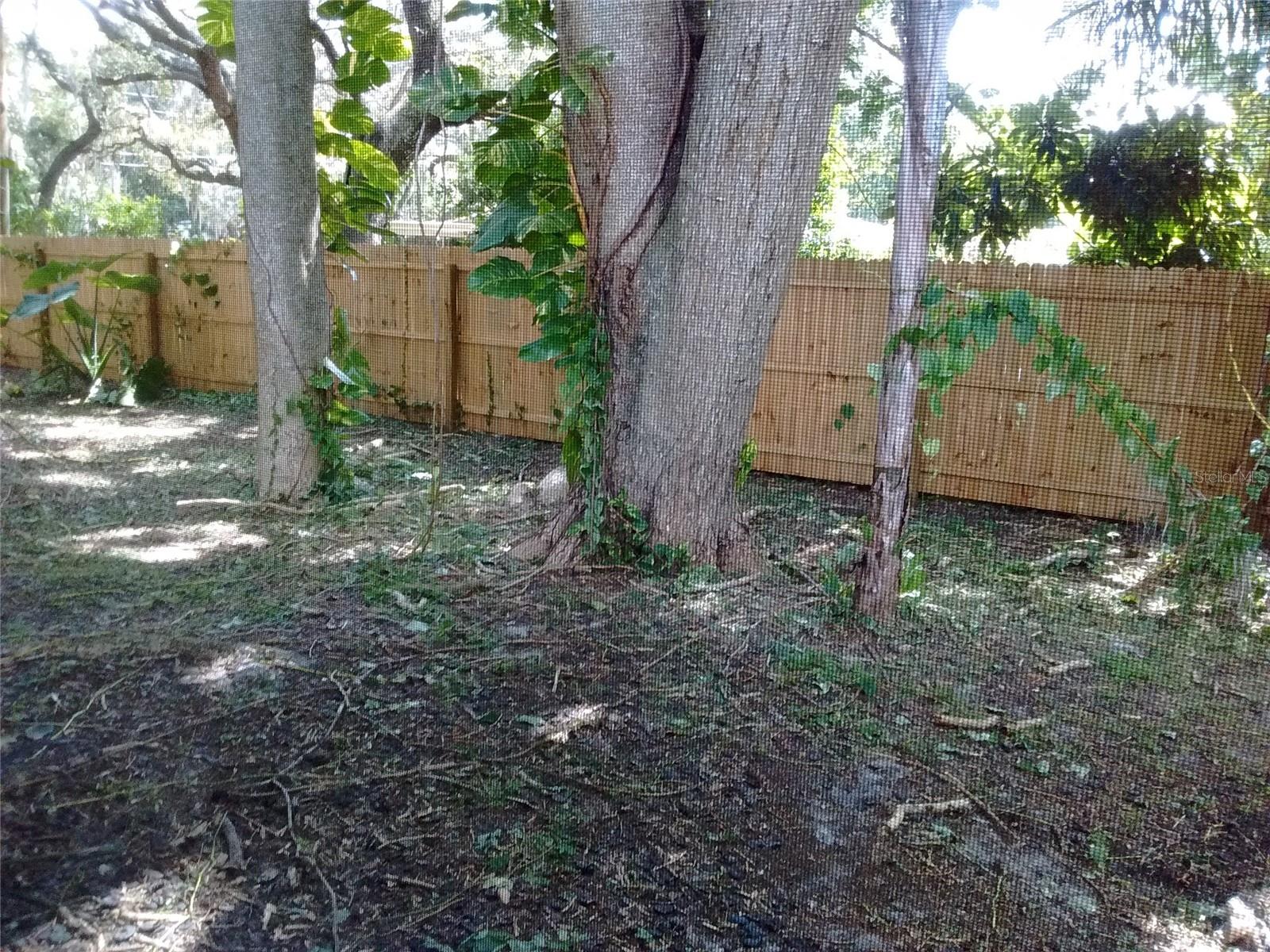 4033 Anna Dr Property Photo 13