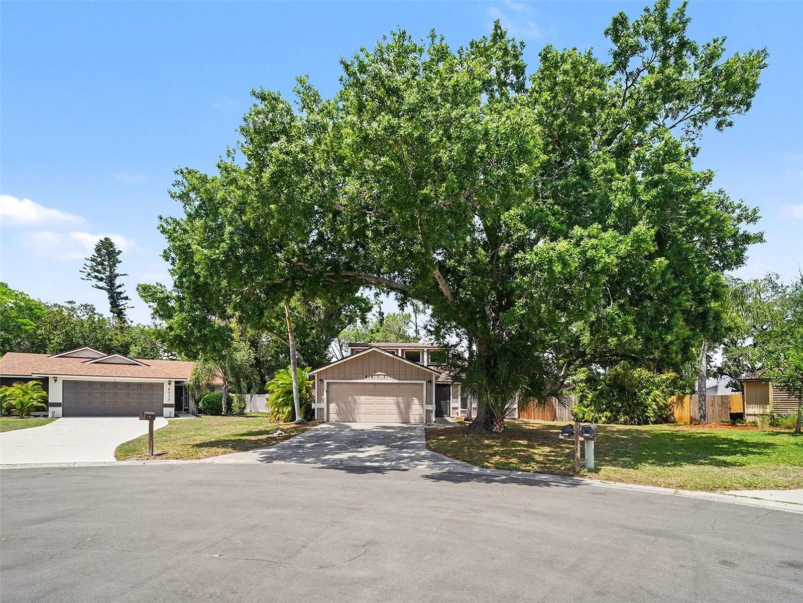 8211 COUNTRY OAKS CT