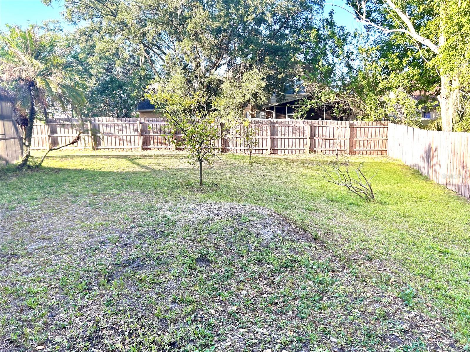 1729 Buckhorn Pl Property Photo 66