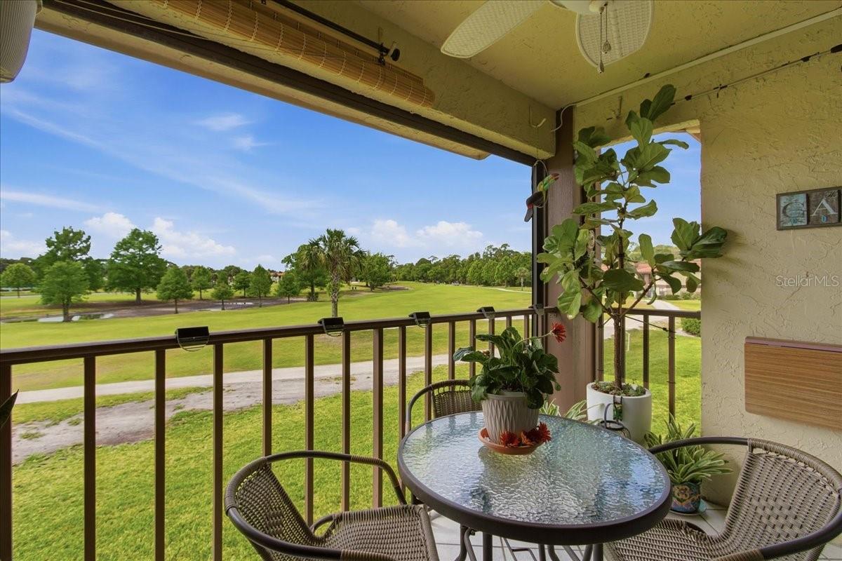 6111 Lake Pointe Dr #202 Property Photo 32