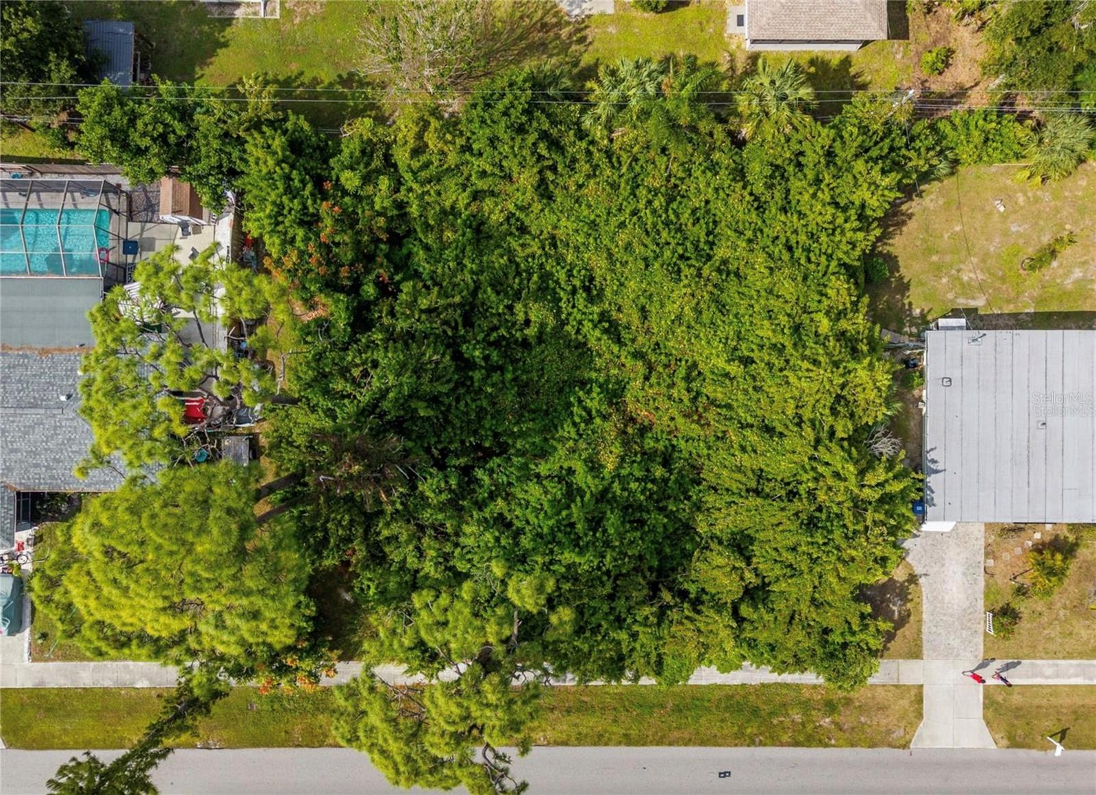 31 W Seminole Dr Property Photo 5