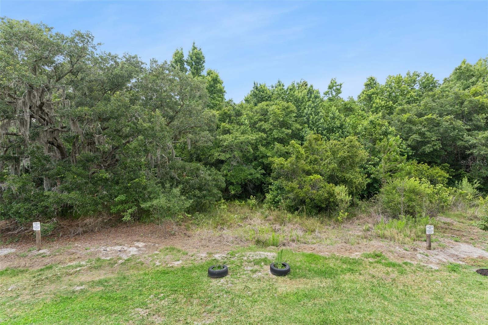 914 Spring Palms Loop Property Photo 27