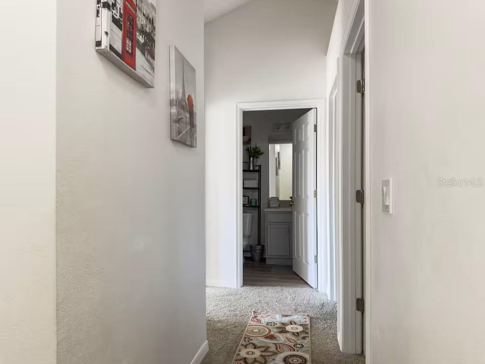 910 Park Terrace Cir Property Photo 9