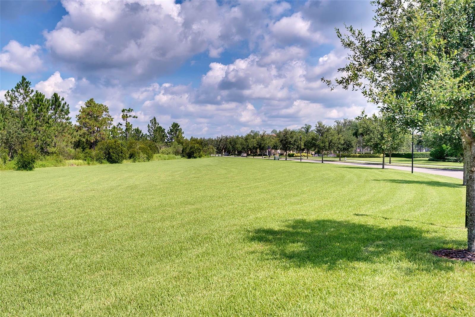 11844 Astilbe Dr Property Photo 66