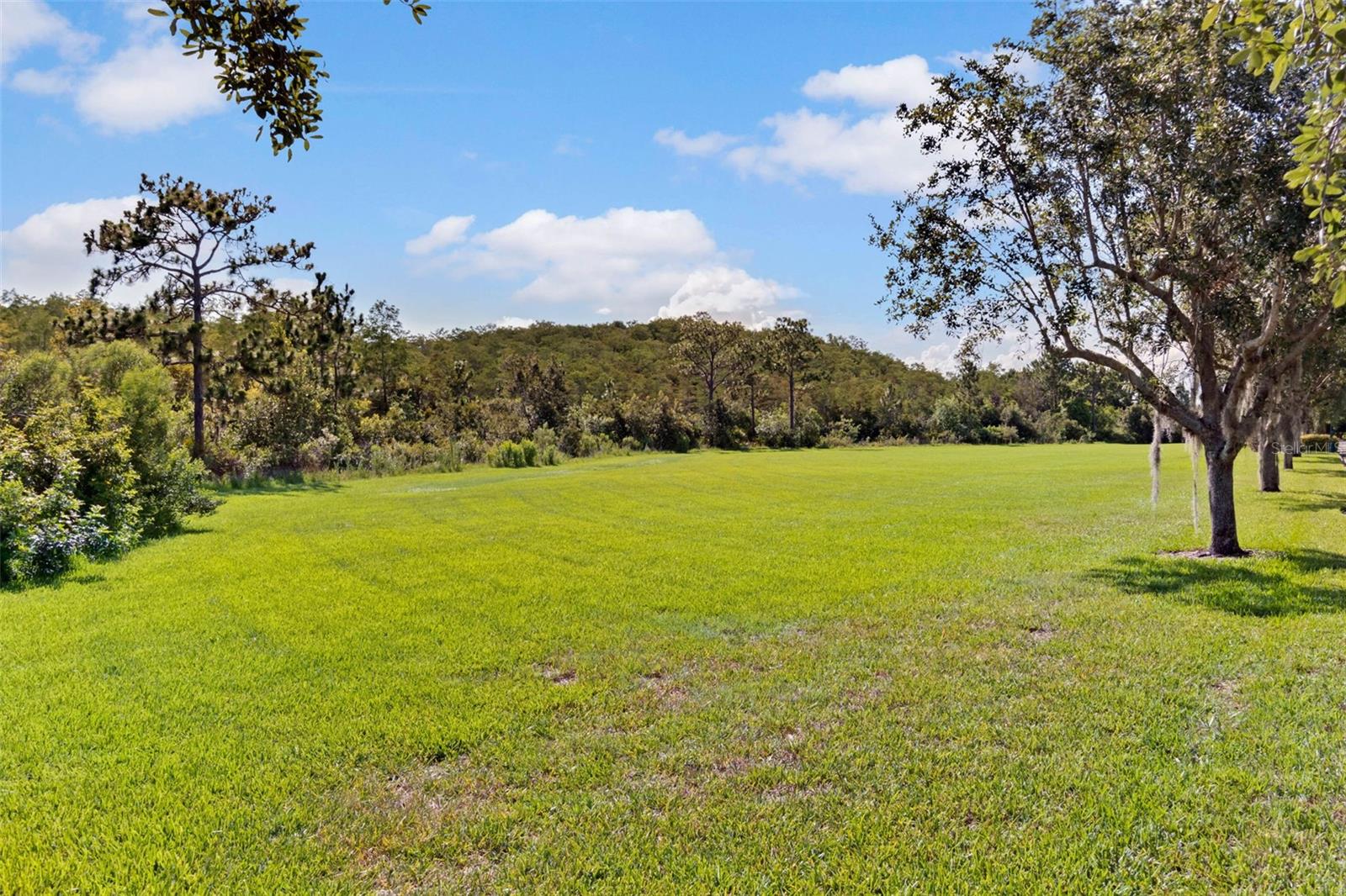 11844 Astilbe Dr Property Photo 67