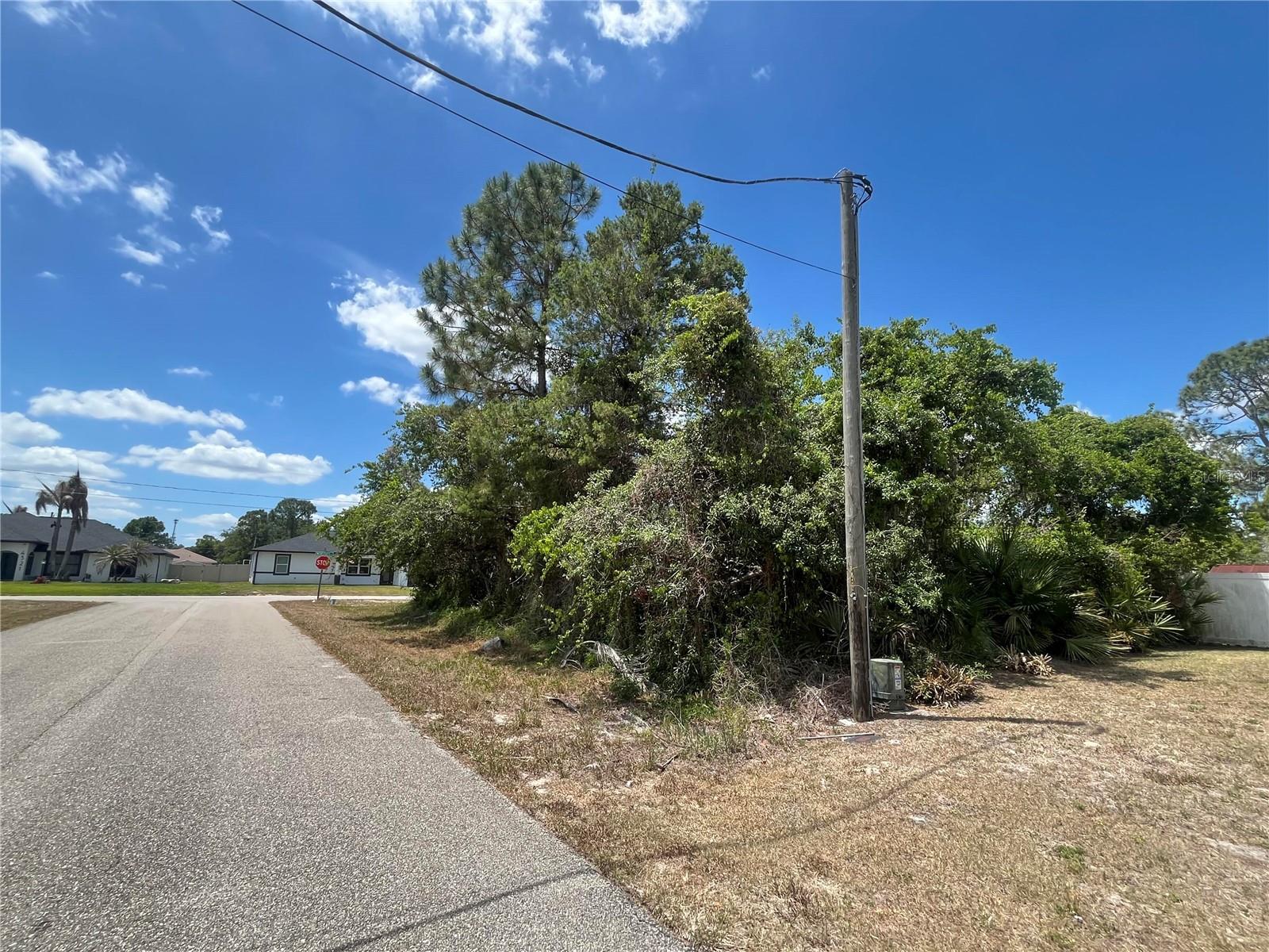 901 Replica Ave Property Photo 2