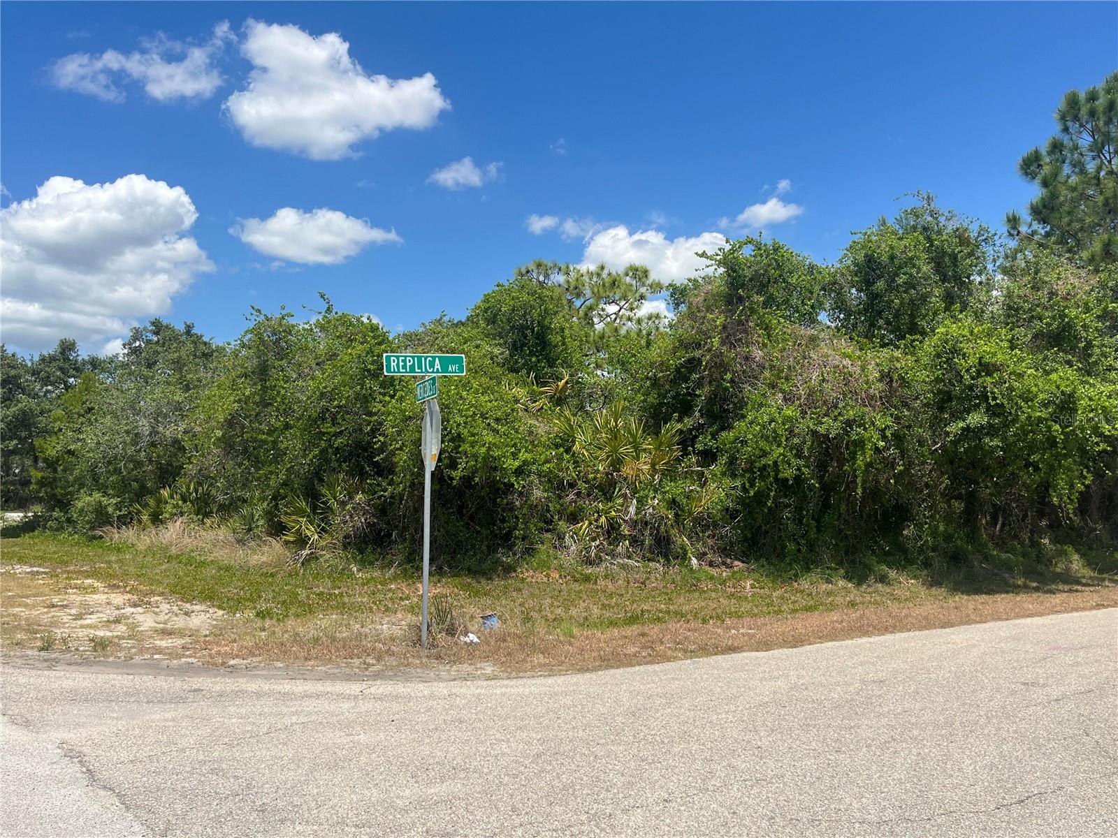 901 Replica Ave Property Photo 4