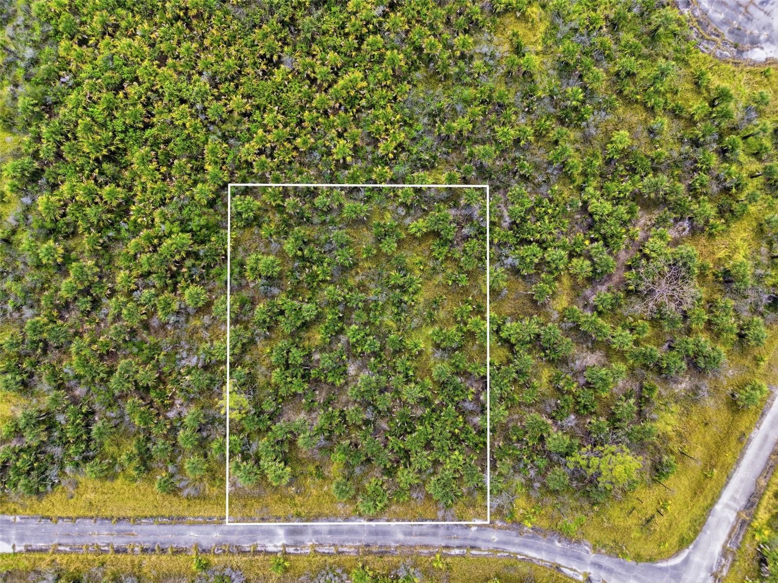2806 Flameflower Ter Sw Property Photo 1