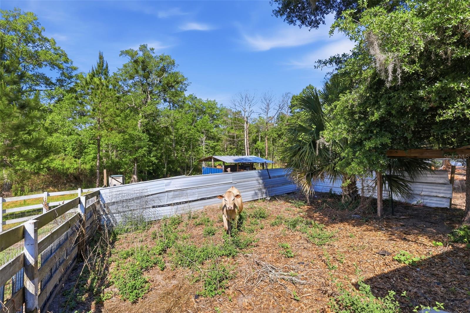 1898 Blackwelder Rd Property Photo 29