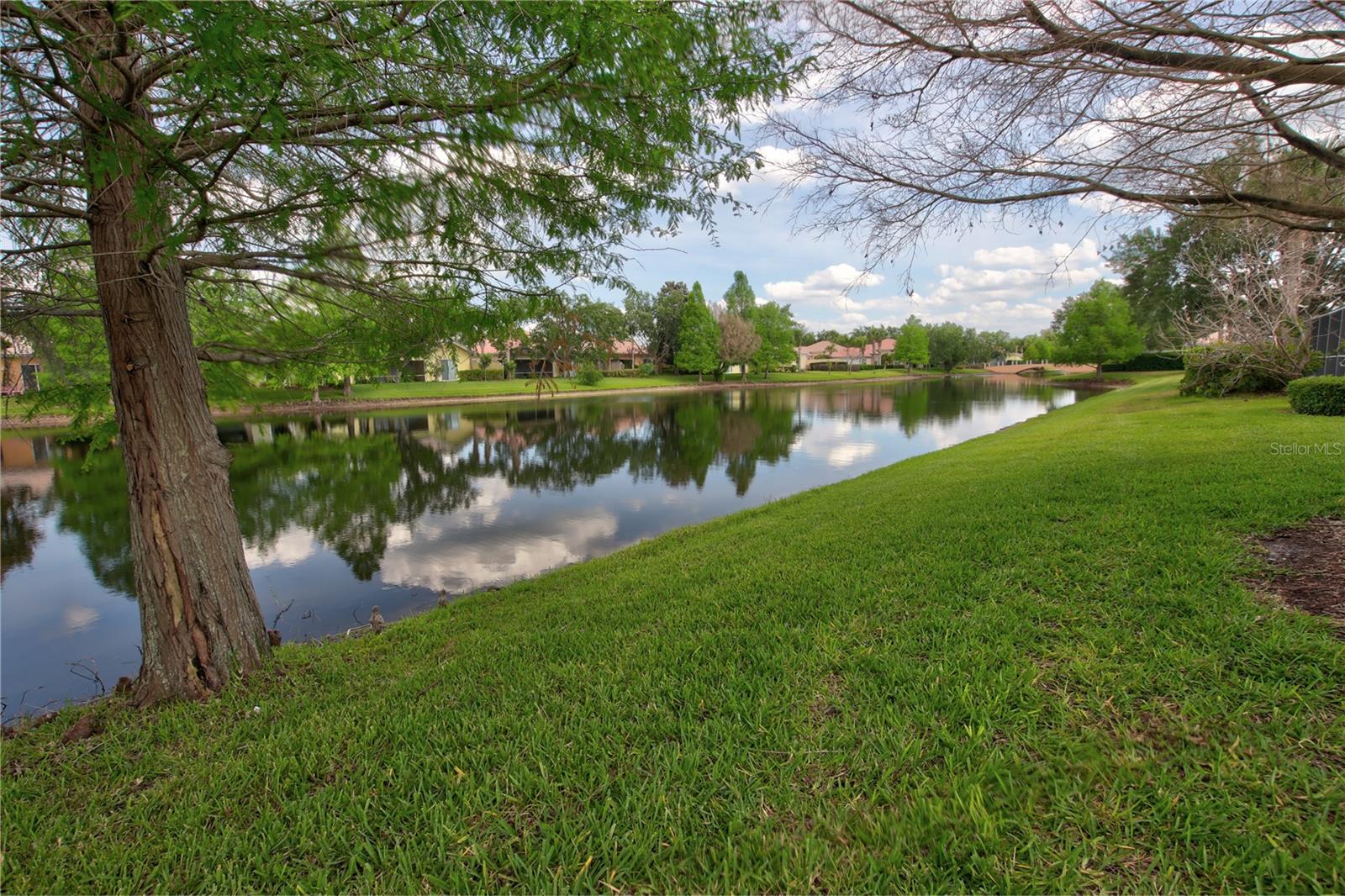 11801 Fan Tail Ln Property Photo 4