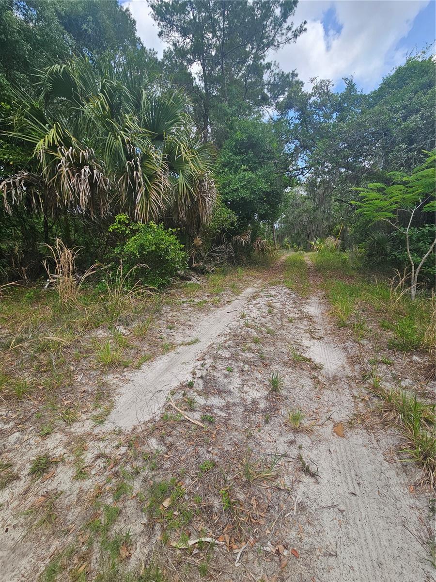 0 Culver Way Property Photo 3