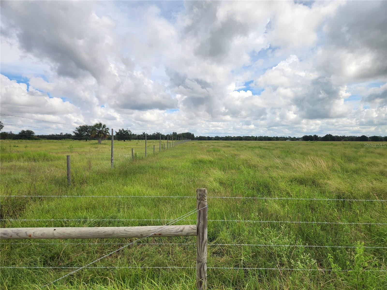 Gough Rd Property Photo 5