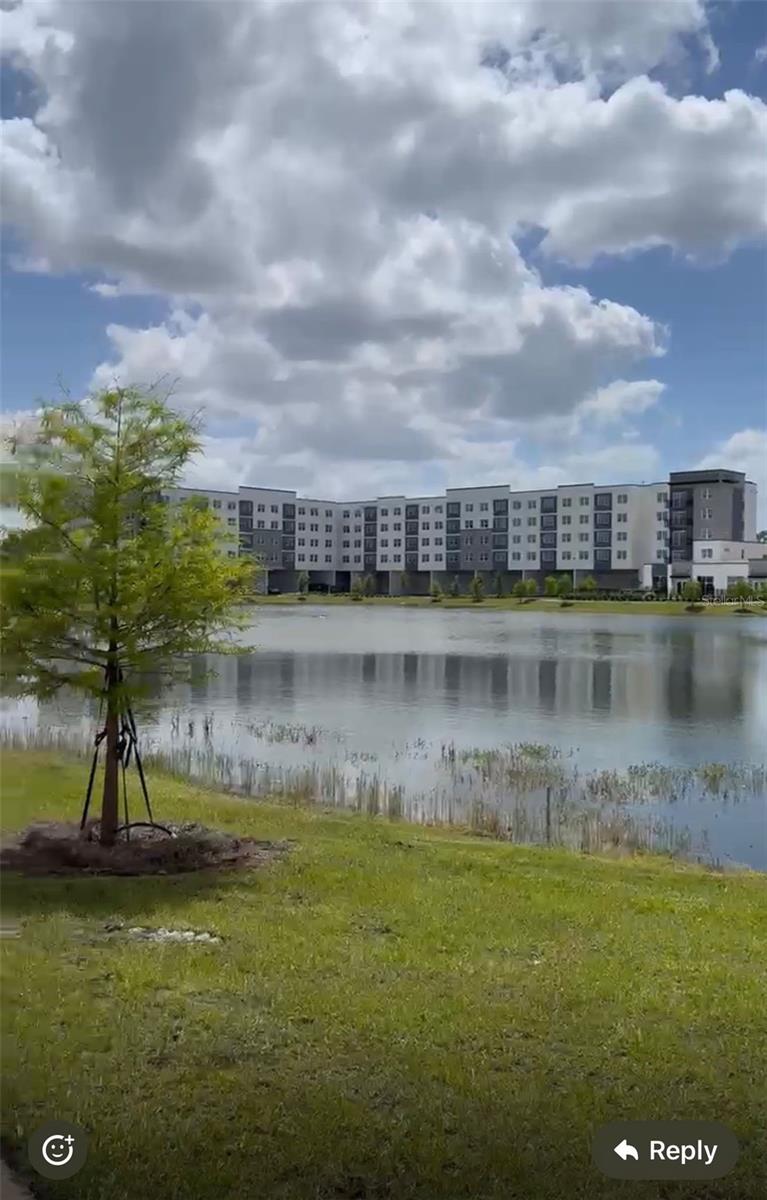 5579 Millenia Park Blvd #203 Property Photo 2