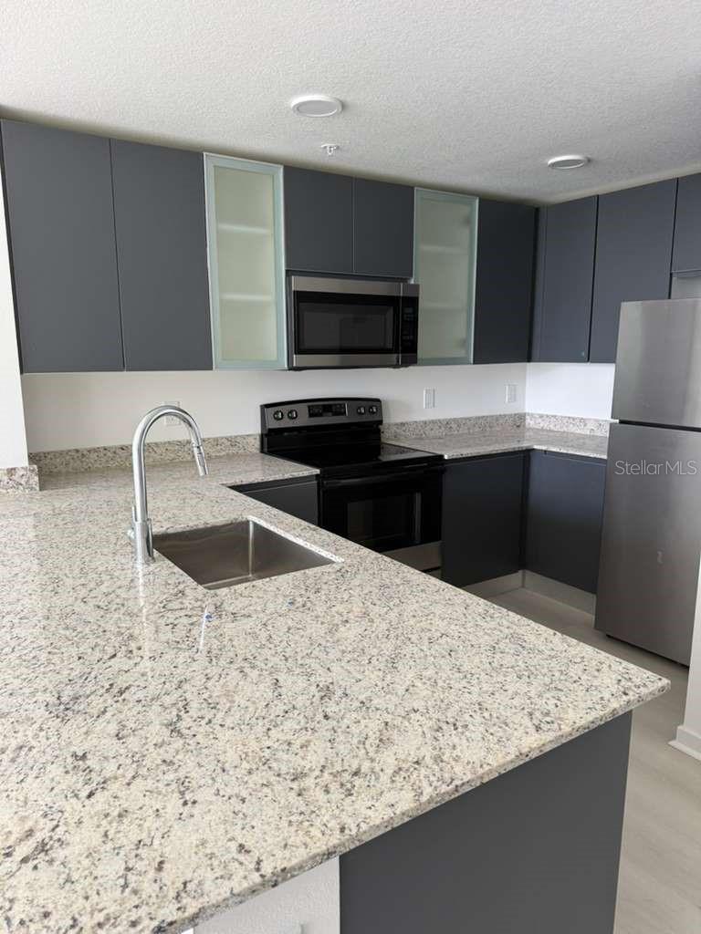 5579 Millenia Park Blvd #203 Property Photo 5
