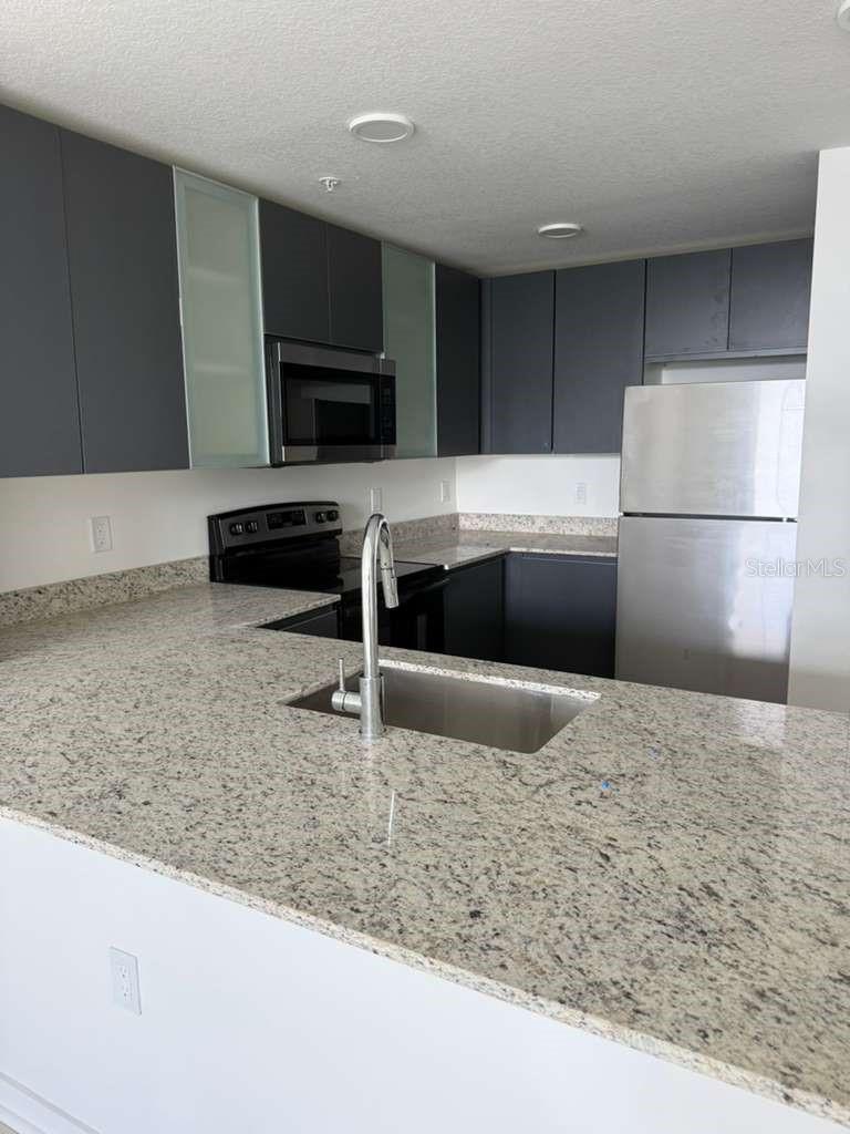 5579 Millenia Park Blvd #203 Property Photo 6