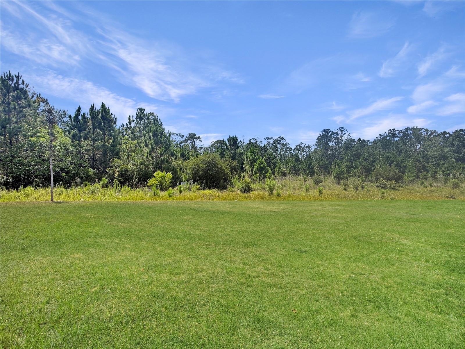 7612 Bent Tree Loop Property Photo 17