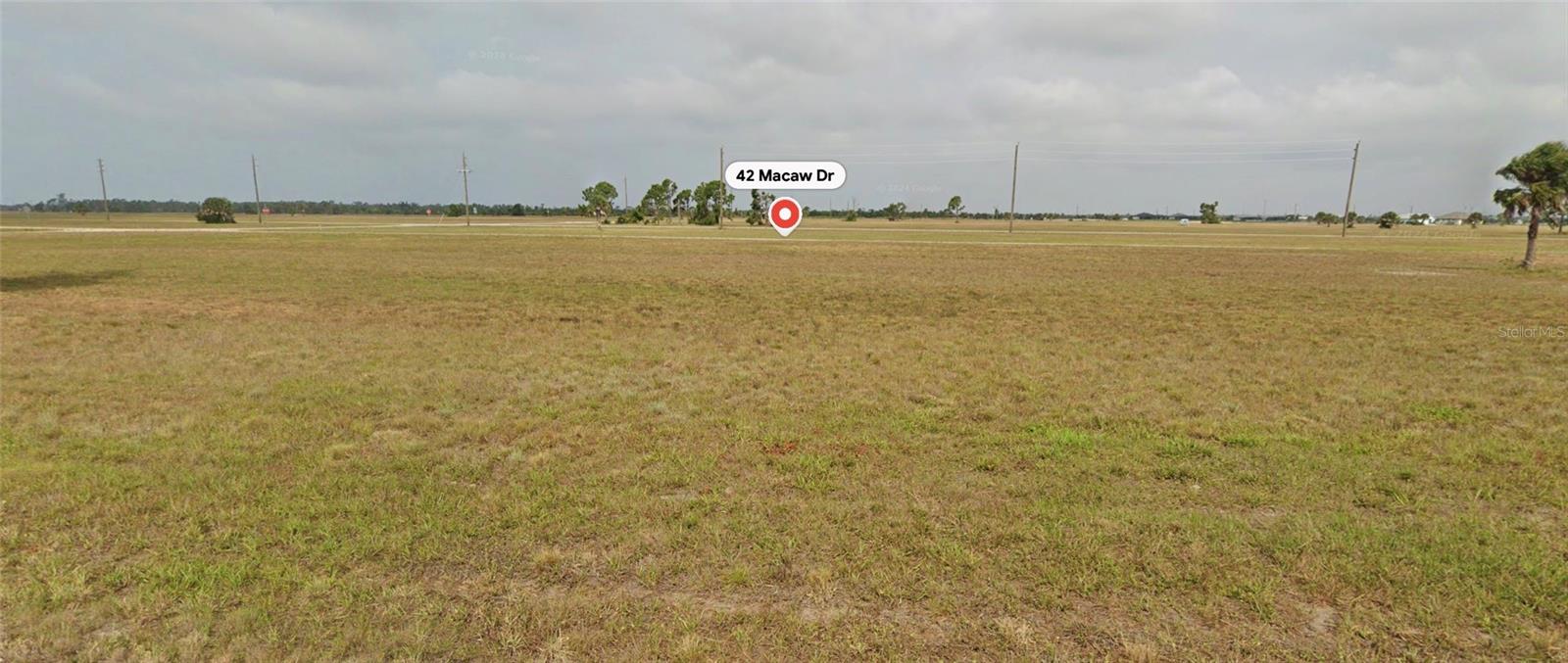 42 MACAW DR Property Photo 1