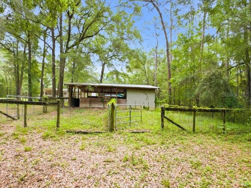 9986 S Forestline Ave Property Photo 4