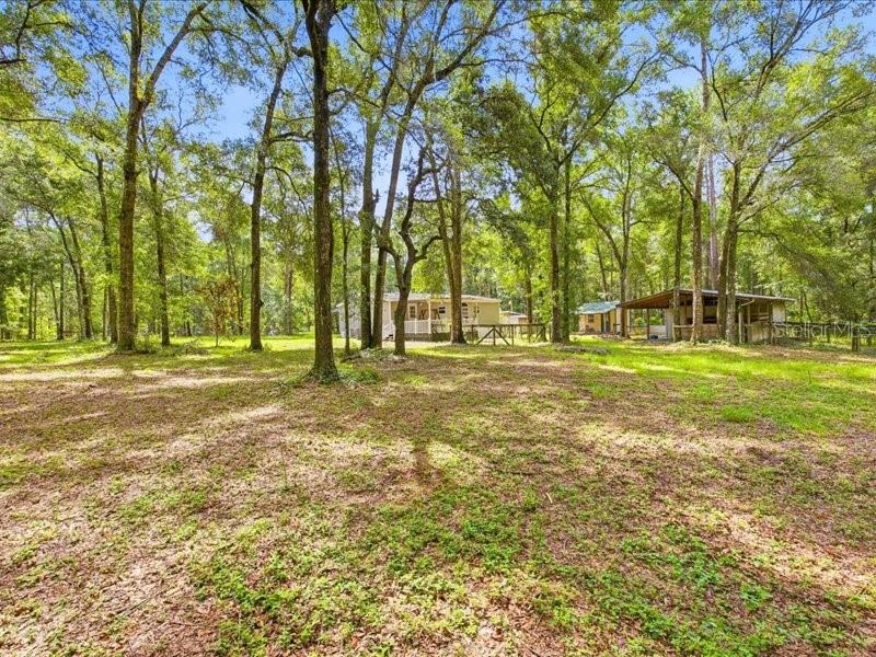 9986 S Forestline Ave Property Photo 6