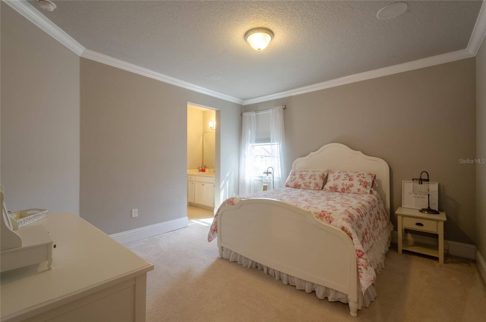8539 Pippen Dr Property Photo 26