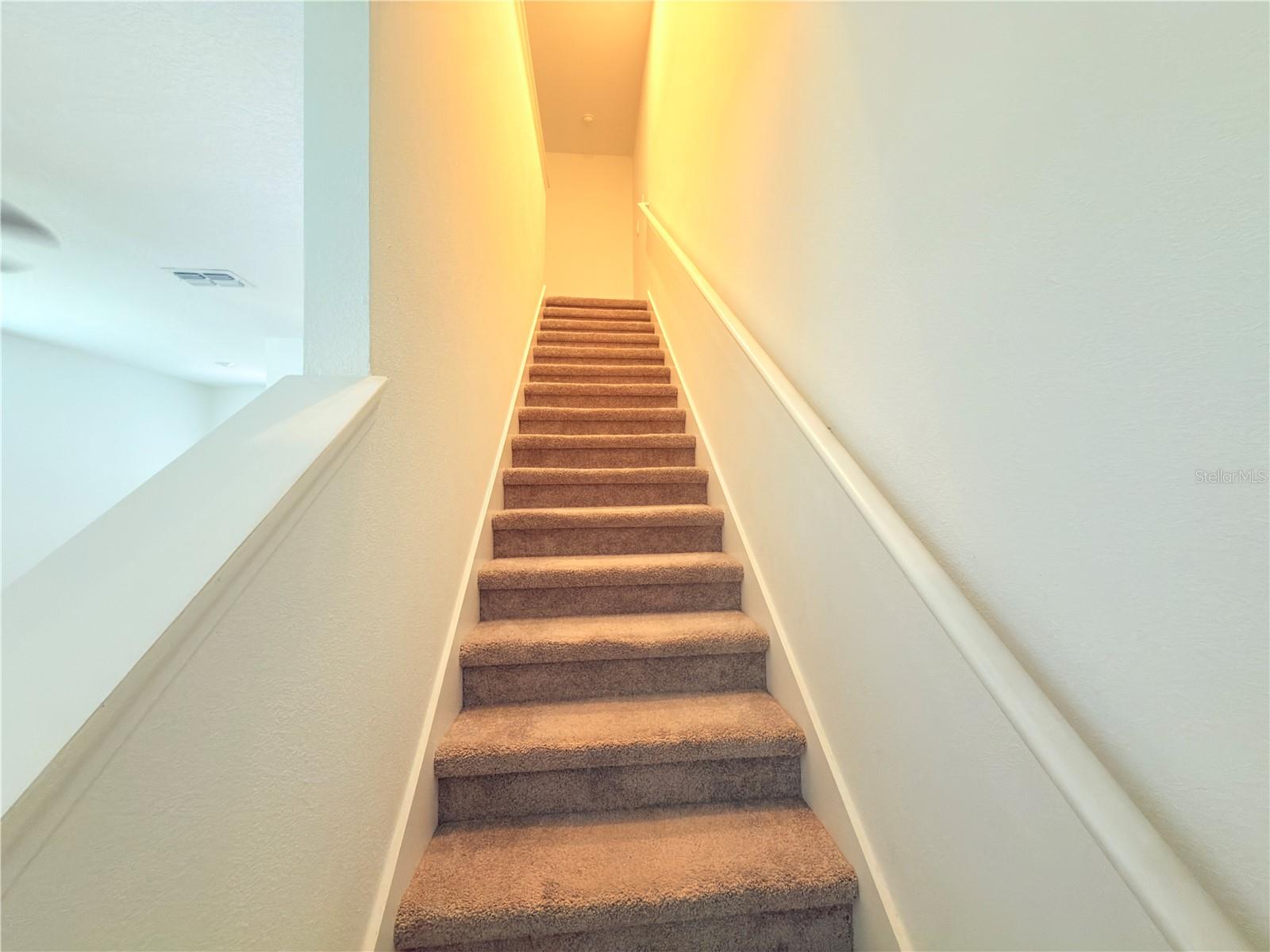 253 Tulip Banded Way Property Photo 13