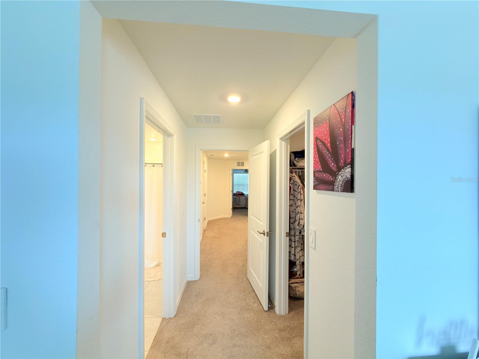 253 Tulip Banded Way Property Photo 19