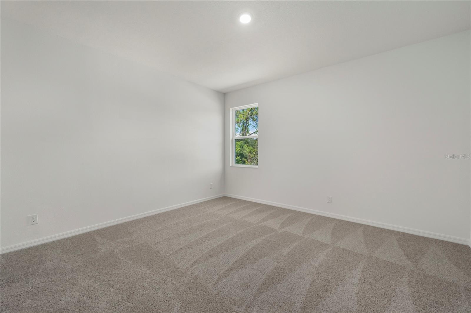 357 Bream Property Photo 24