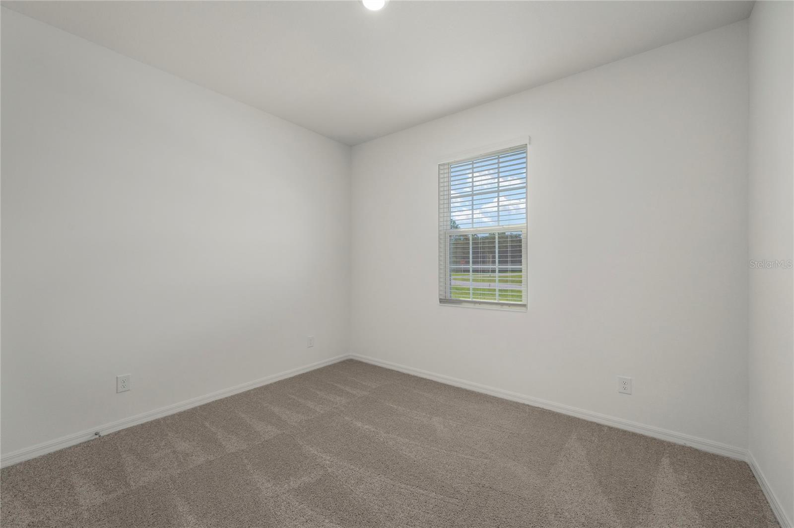 357 Bream Property Photo 29