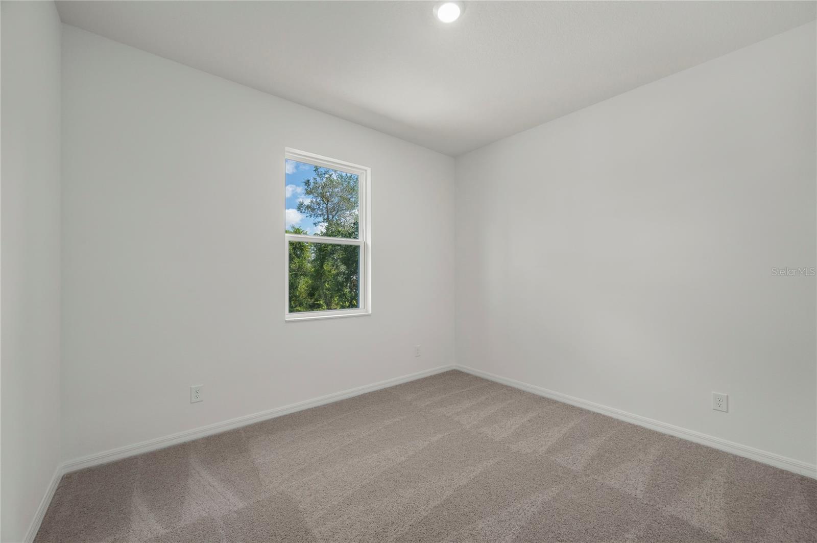 357 Bream Property Photo 34