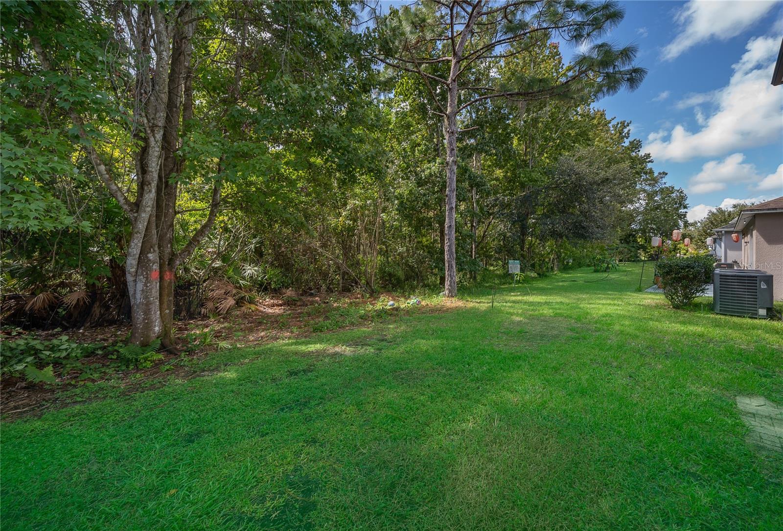 9808 Bennington Chase Dr Property Photo 23