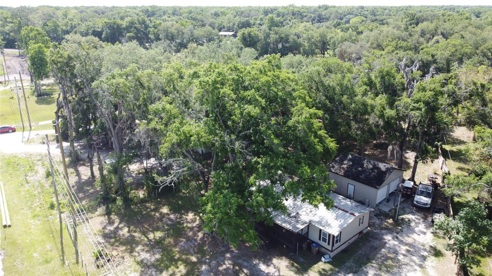 6590 Osceola Polk Line Rd Property Photo 19