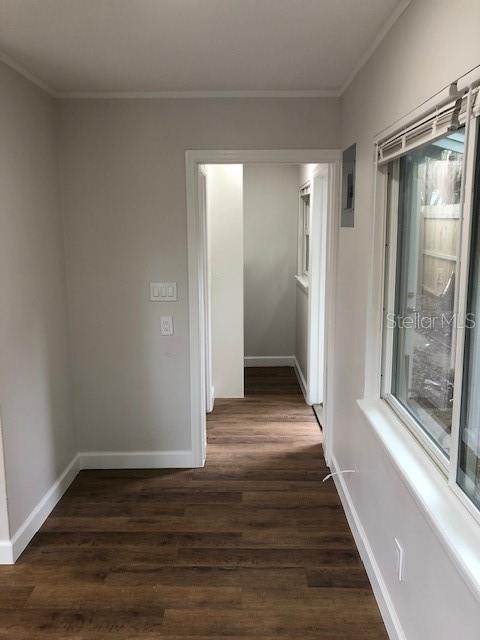 408 Holt Ave Property Photo 19