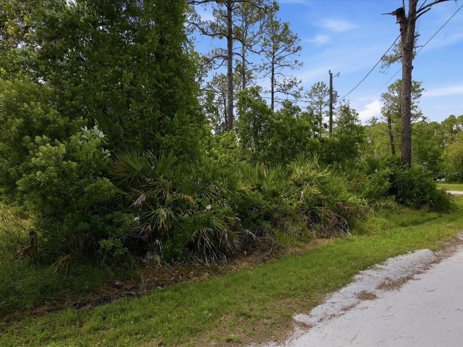 1340 East Pkwy Property Photo 6