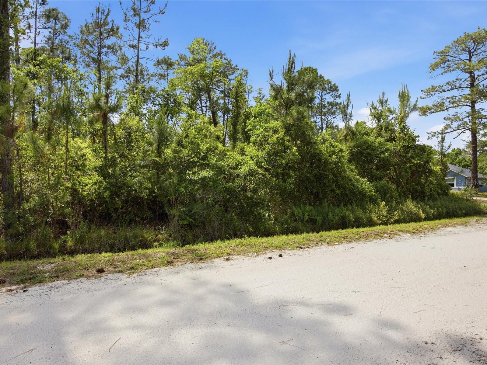 1490 10th Ave Property Photo 6