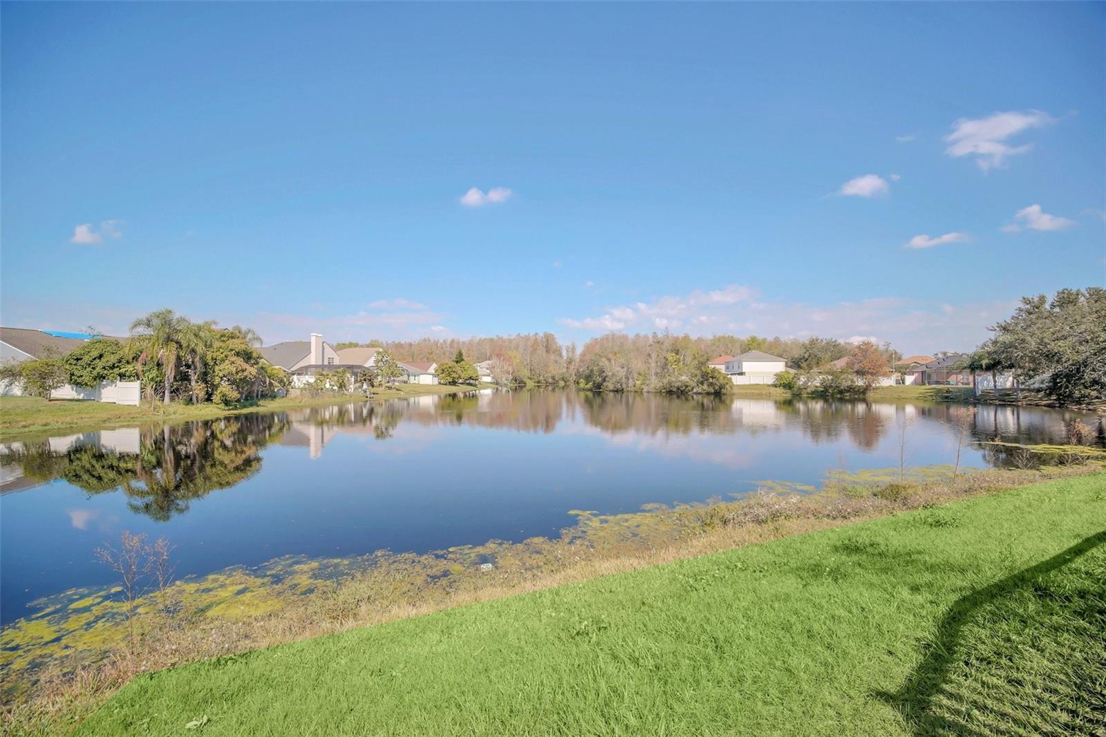 2120 Marisol Loop Property Photo 46