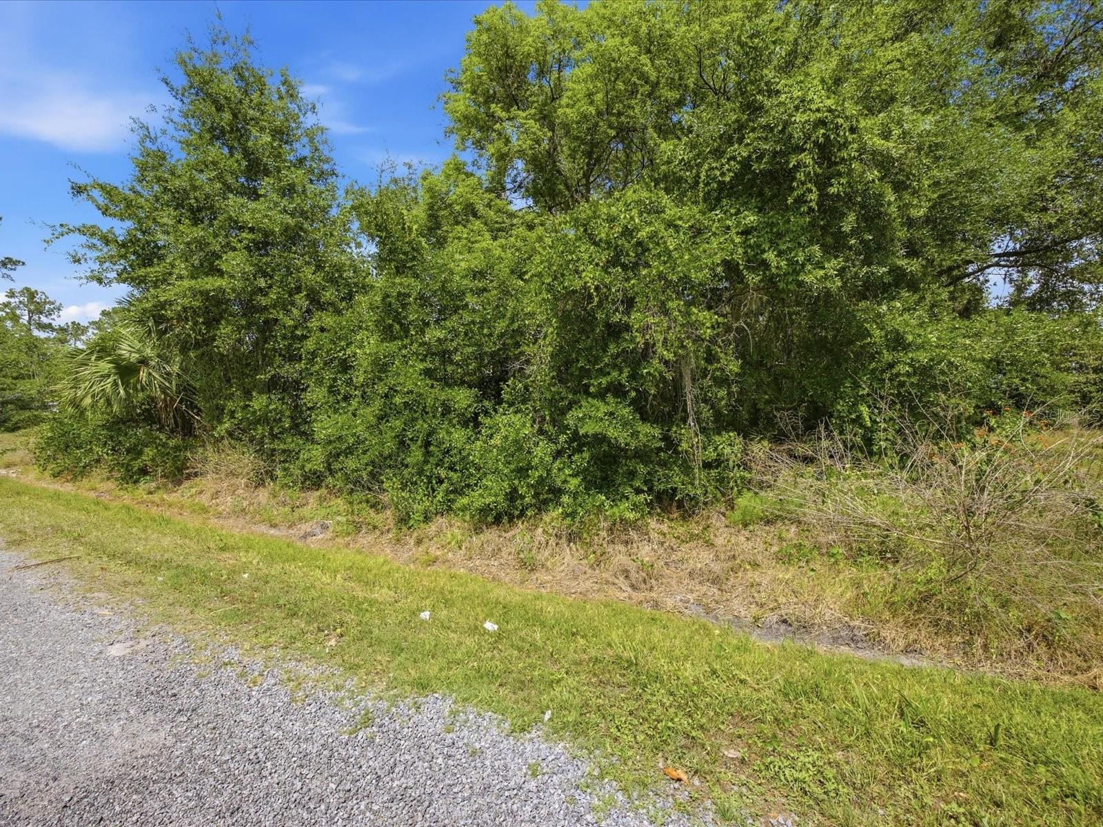 2155 5th Ave Property Photo 6