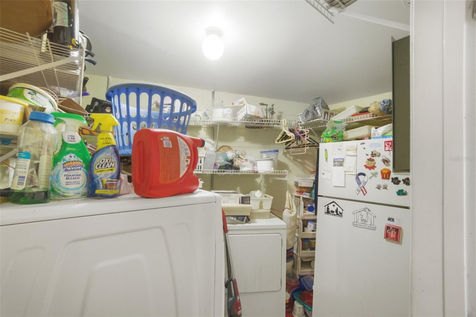 481 Kentia Rd Property Photo 21