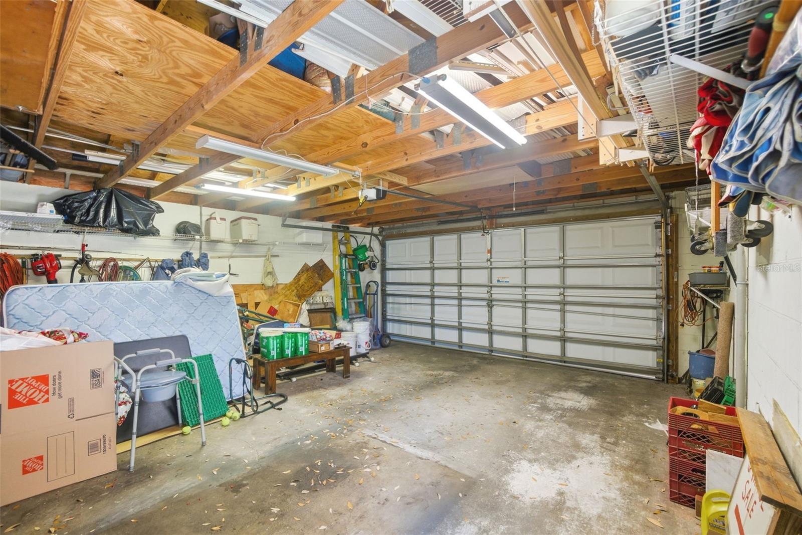 481 Kentia Rd Property Photo 23