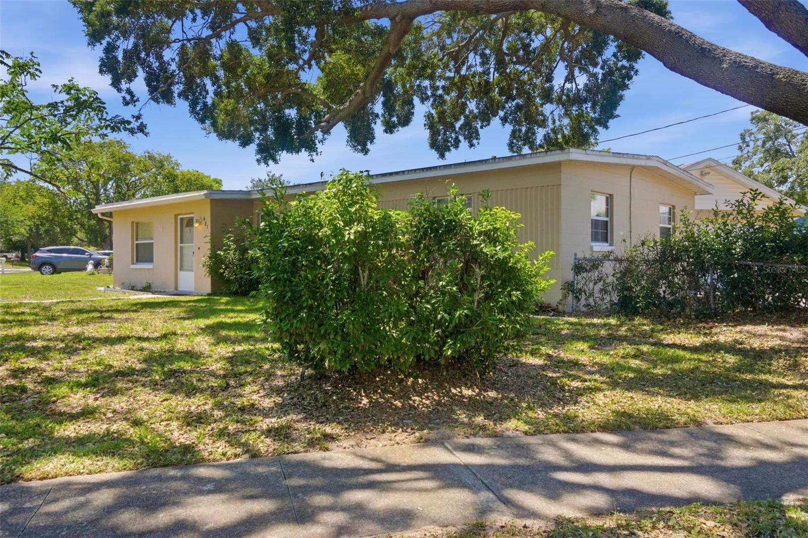 481 Kentia Rd Property Photo 29