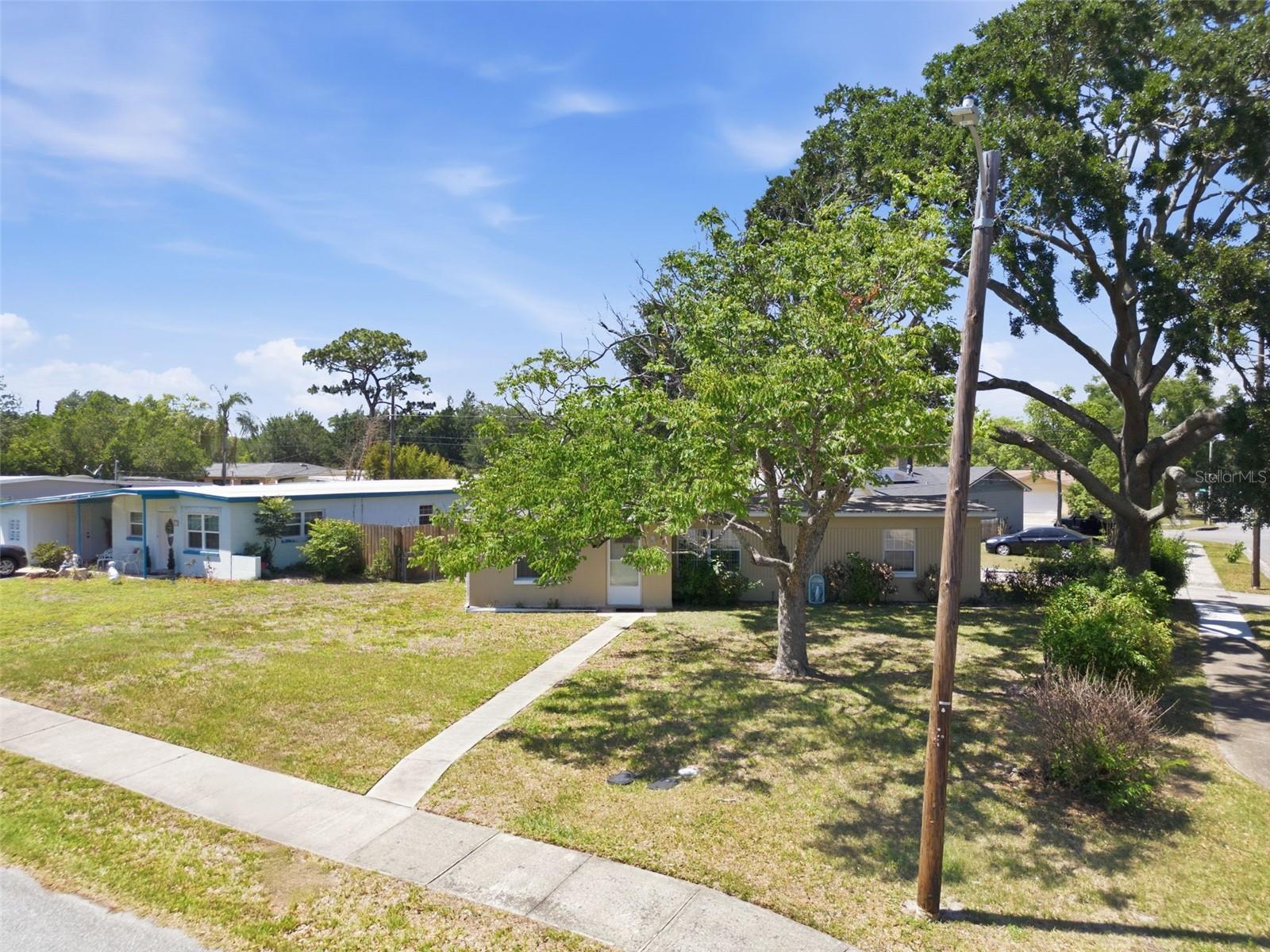 481 Kentia Rd Property Photo 33
