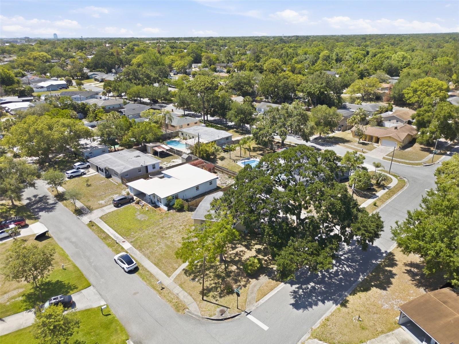 481 Kentia Rd Property Photo 36