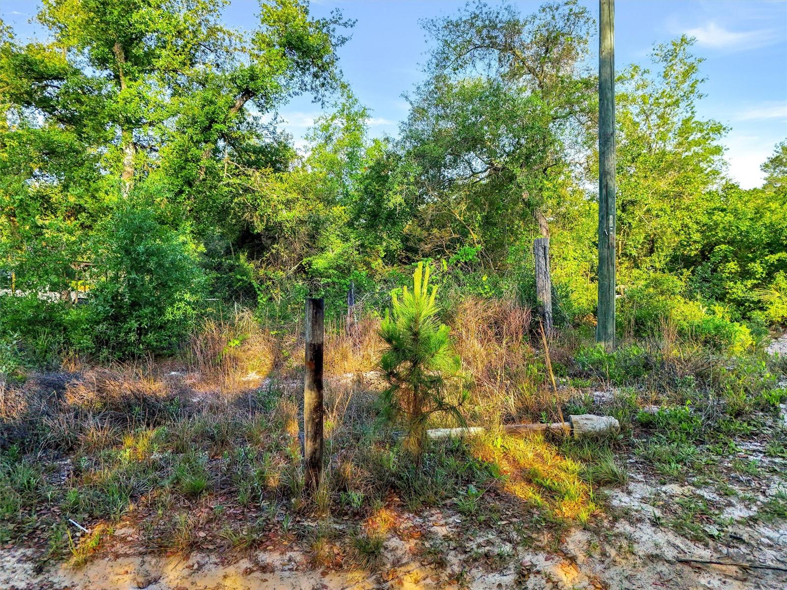 Jewell Dr Property Photo 3
