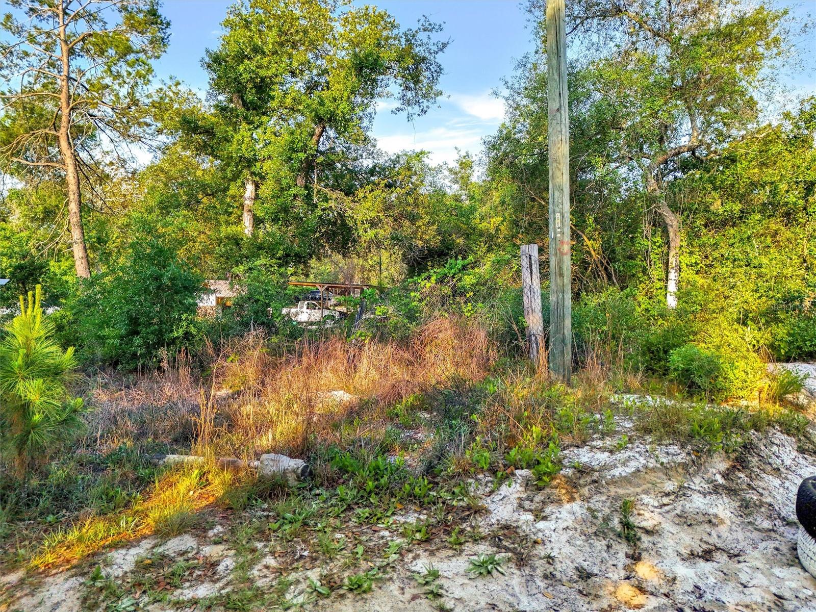 Jewell Dr Property Photo 5