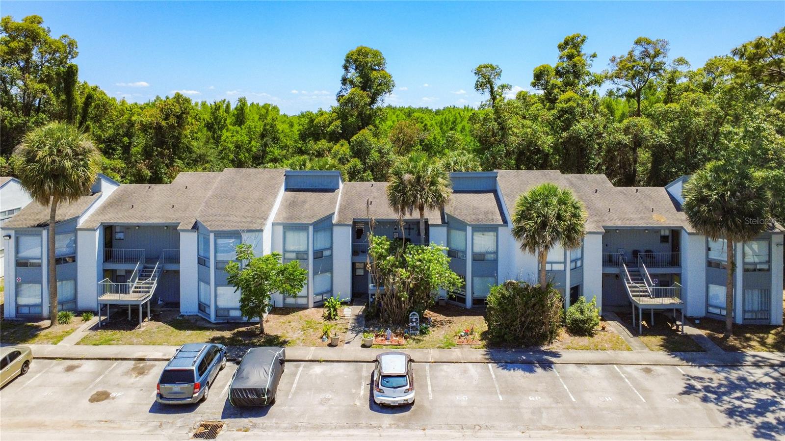 2636 LEMON TREE LN Property Photo 1