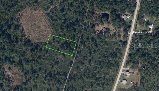 734 Dolphin Ave Property Photo 4